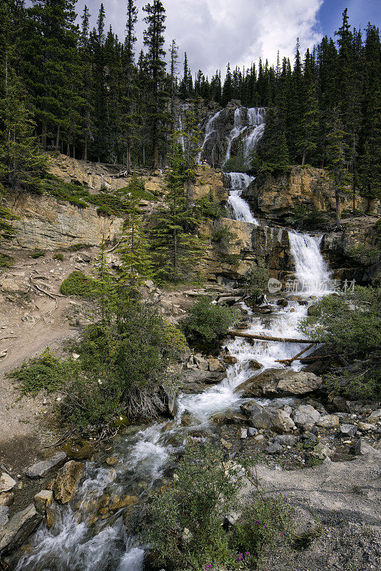 夏天的Tangle Creek Falls, Jasper国家公园，AB，加拿大